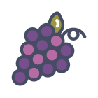 Berry icon