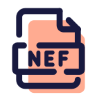 NEF icon