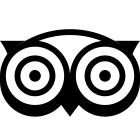 TripAdvisor icon