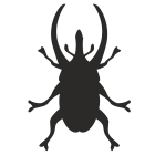 Beetle icon