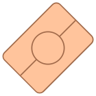 生体認証パスポート icon