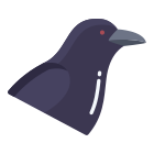 Raven icon