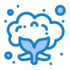 Cauliflower icon