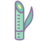 Sugarcane icon