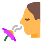 sentir une fleur icon