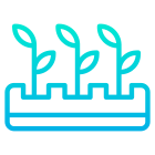 Plants icon