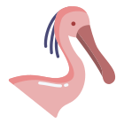 Spoonbill icon