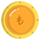 Lira icon