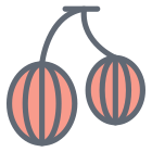 Gooseberry icon