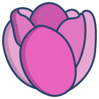 Tulip icon