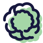 Blumenkohl icon