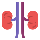 Anatomy icon