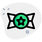 Star circle badge high ranking officers for homeland security icon