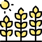 Trigo icon