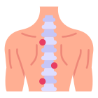 Spinal Cord icon