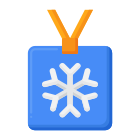 Ski Pass icon