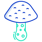 Wild Mushroom icon