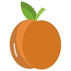 Apricot icon