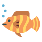 Butterfly Fish icon