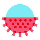 Rambutan icon