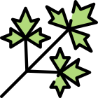 Parsley icon