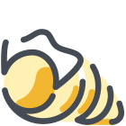 Conchiglia icon