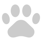 external-animal-pet-shop-creaty-flat-colourcreaty-26 icon
