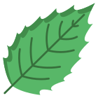 Holly Leaf icon