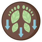 Carbon Footprint icon