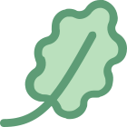 Feuille de chêne icon