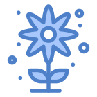 Blume icon