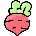 Radish icon