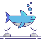 Shark icon