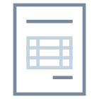 Invoice icon