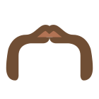 Bigote herradura icon