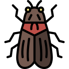 Cicada icon