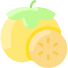 Persimmon icon