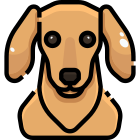 Dog icon