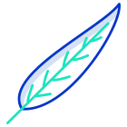 Gum Tree Leaf icon