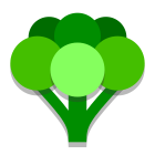 Broccoli icon