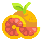 Orange icon