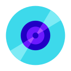 Vinile icon