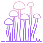 Enokitake Mushroom icon