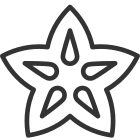 Carambola icon