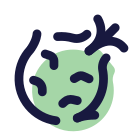 Kohlrabi icon