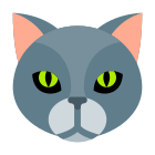 tête de chat icon