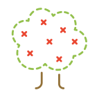 Apple Tree icon