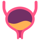 Bladder icon