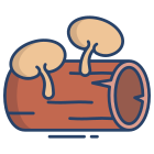 Wood Mushrooms icon