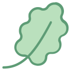 Feuille de chêne icon